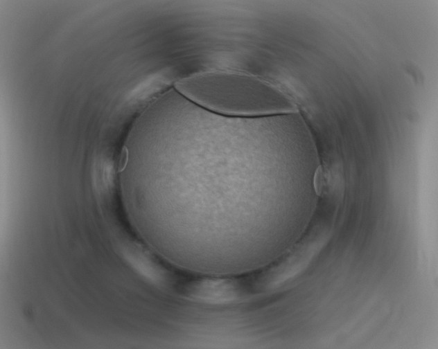 X0000115490117200911061315