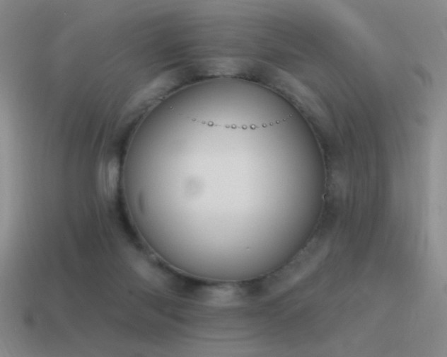 X0000115490118200911061315