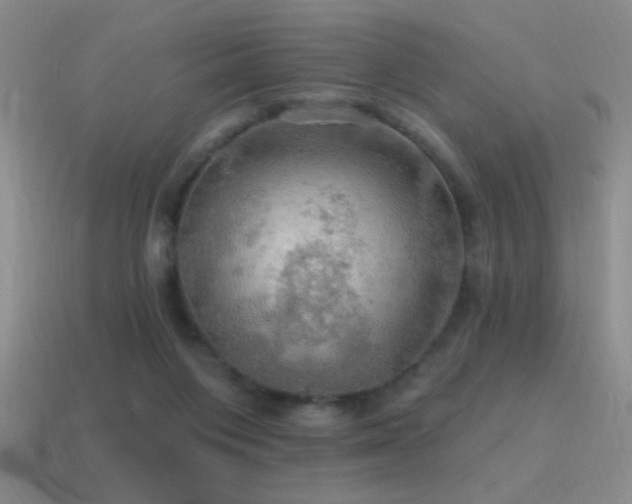 X0000115490119200911061315