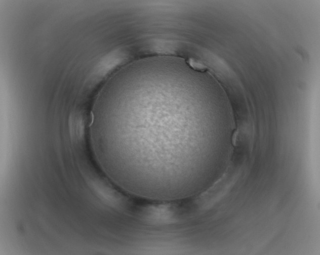 X0000115490120200911061315
