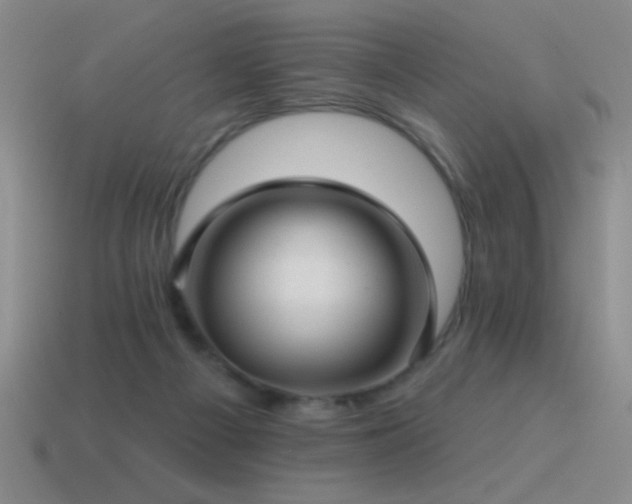X0000115490121200911061315