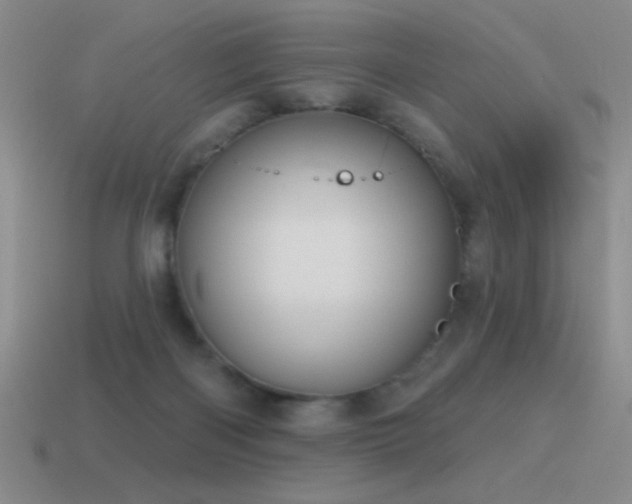 X0000115490122200911061315