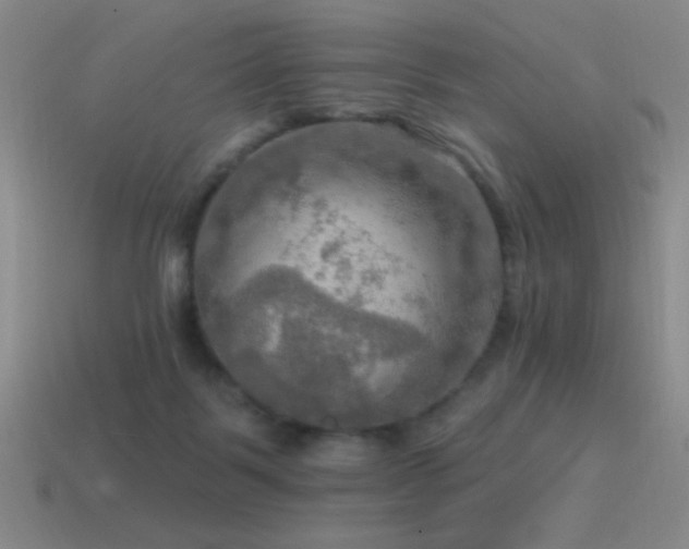 X0000115490123200911061315