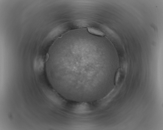 X0000115490124200911061315