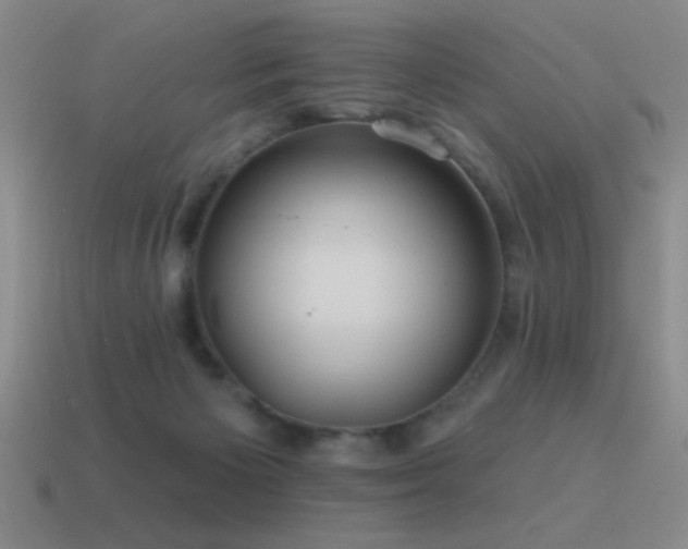 X0000115490125200911061315