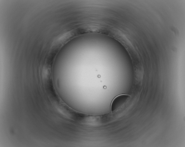 X0000115490126200911061315
