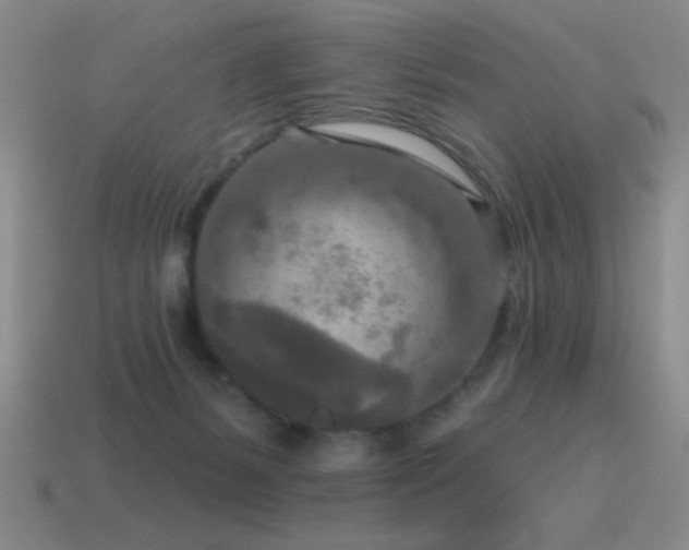 X0000115490127200911061315