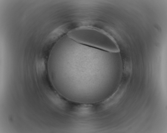 X0000115490128200911061315
