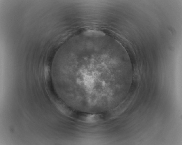 X0000115490130200911061314