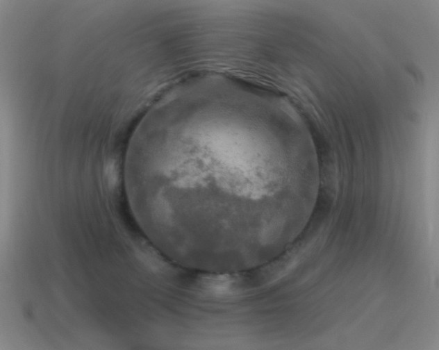 X0000115490131200911061314