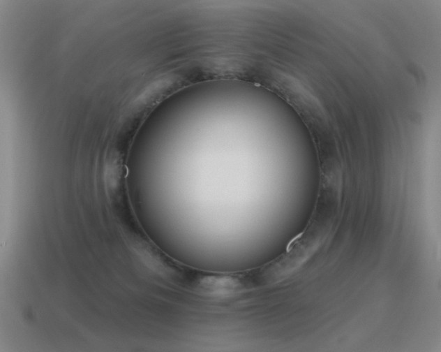 X0000115490133200911061314