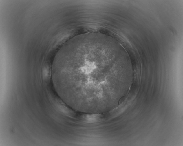 X0000115490134200911061314