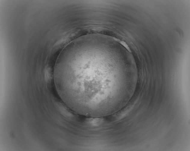 X0000115490135200911061314