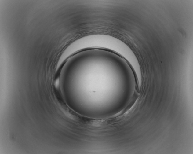 X0000115490136200911061314