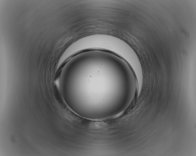 X0000115490137200911061314