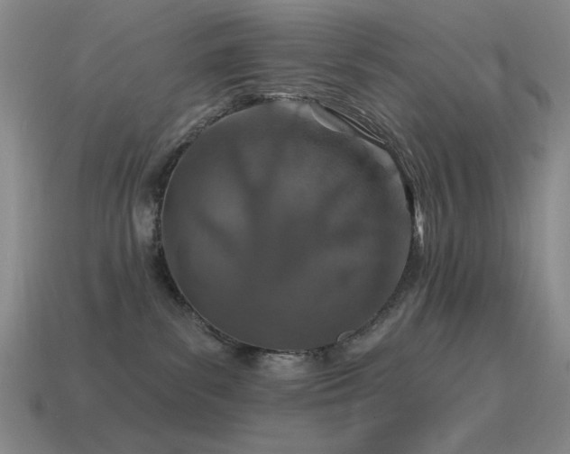 X0000115490139200911061314