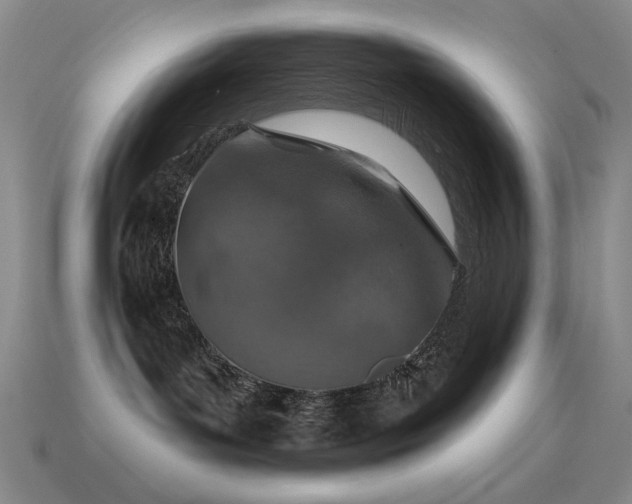 X0000115490143200911061314