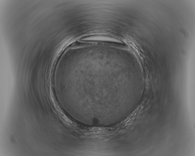 X0000115490145200911061314
