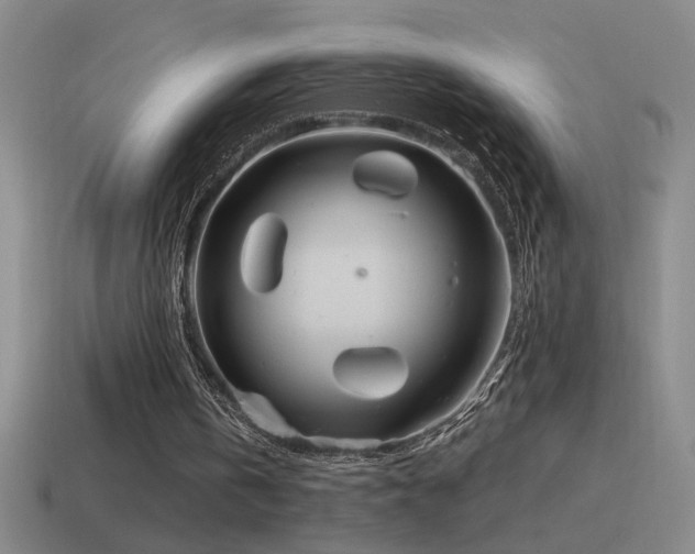X0000115490146200911061314