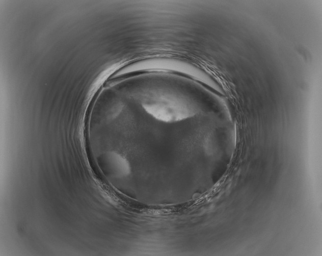 X0000115490147200911061314