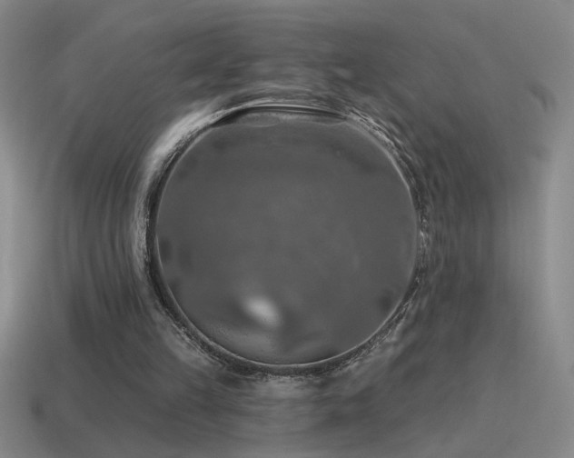 X0000115490149200911061314