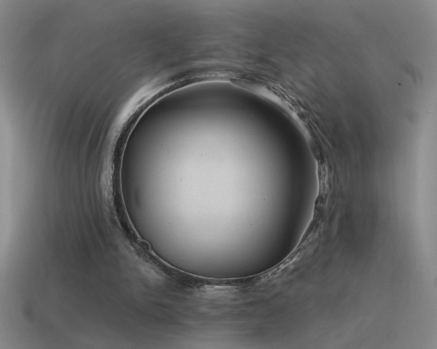X0000115490150200911061314