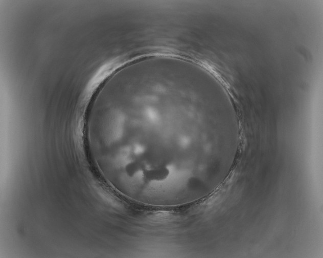 X0000115490151200911061314