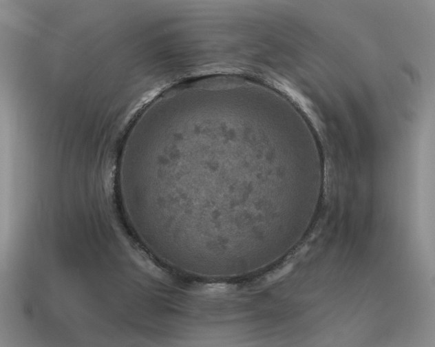 X0000115490153200911061314