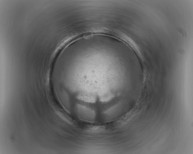 X0000115490155200911061314