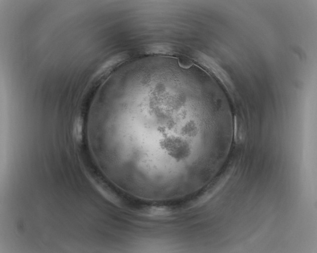 X0000115490157200911061314
