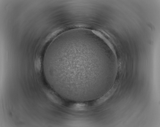 X0000115490158200911061314