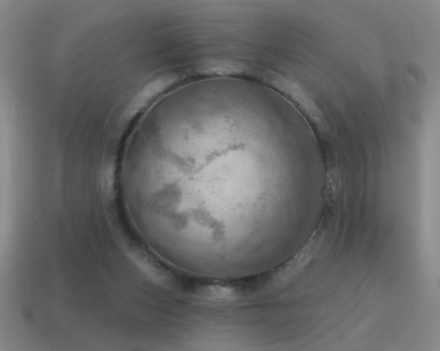 X0000115490159200911061314