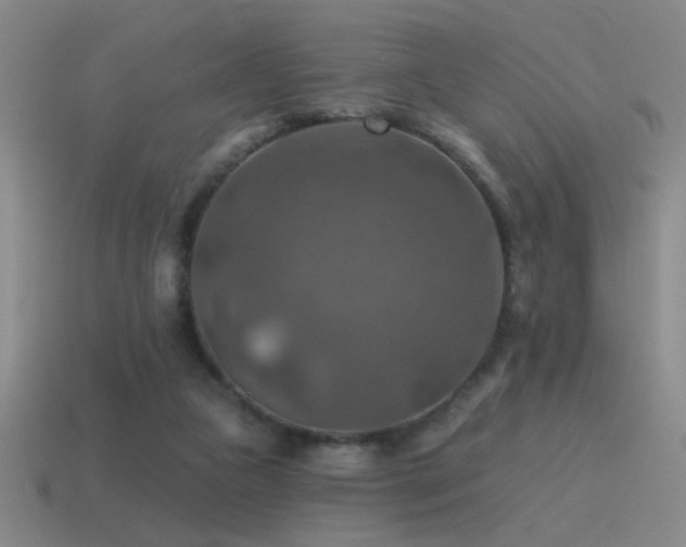X0000115490161200911061314