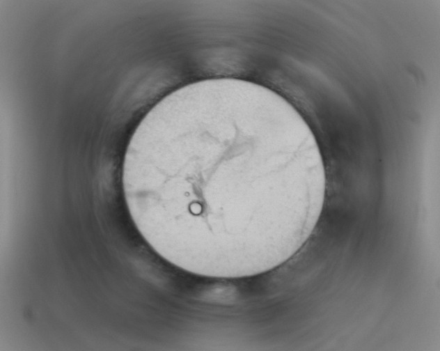 X0000115490162200911061314