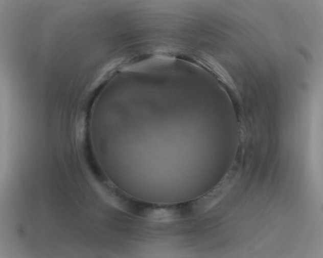 X0000115490163200911061314