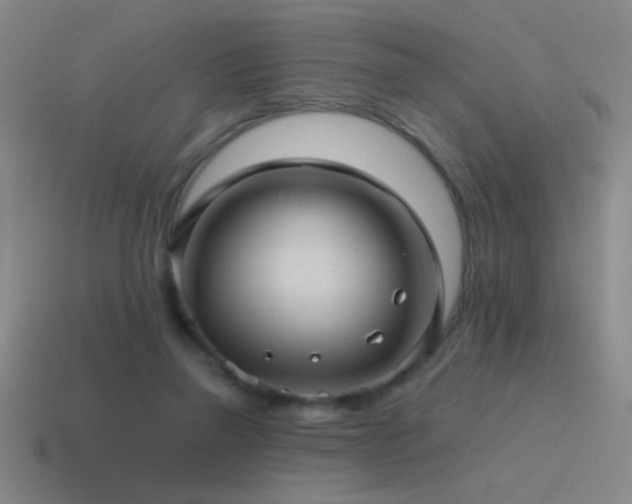 X0000115490165200911061314