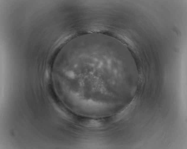 X0000115490166200911061314