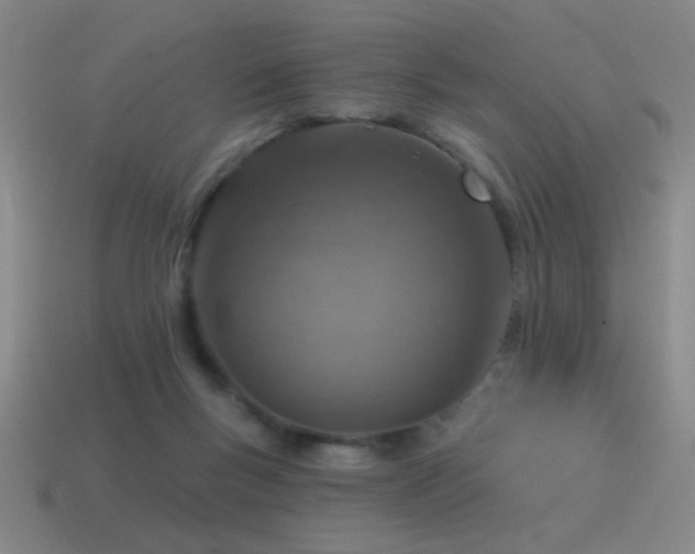 X0000115490167200911061314