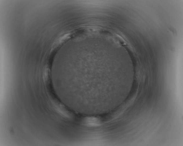 X0000115490169200911061314