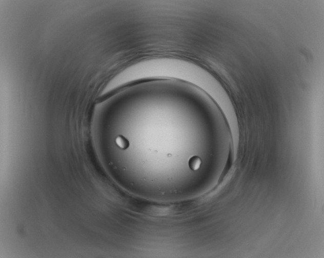 X0000115490170200911061314