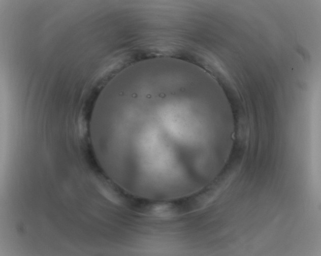 X0000115490173200911061314