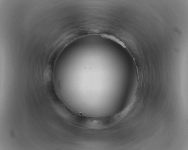 X0000115490174200911061314