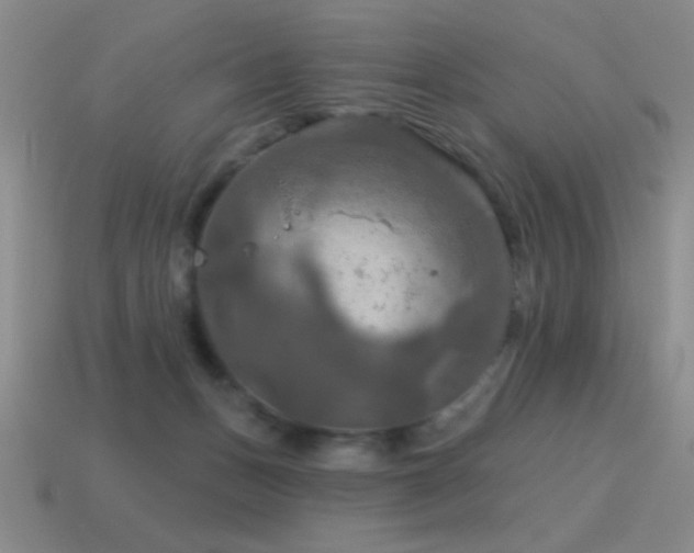 X0000115490175200911061314