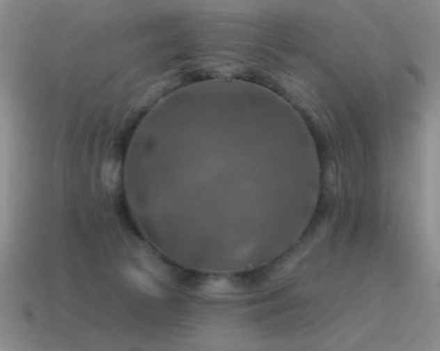 X0000115490177200911061314