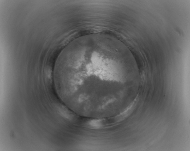 X0000115490178200911061314