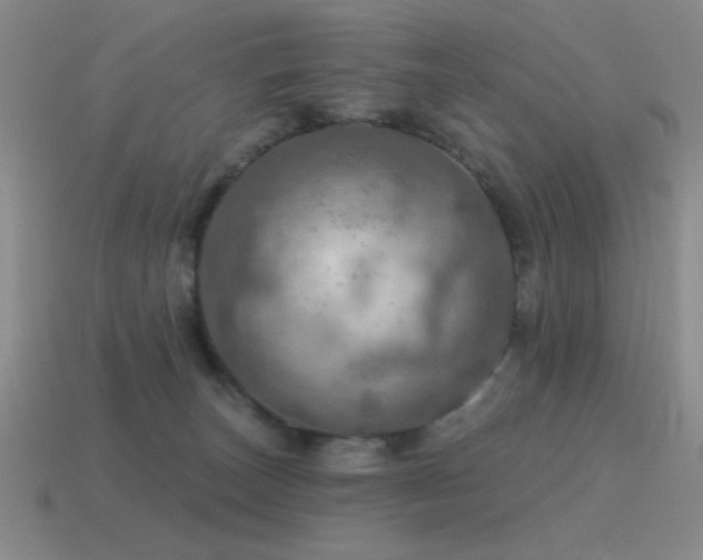 X0000115490179200911061314
