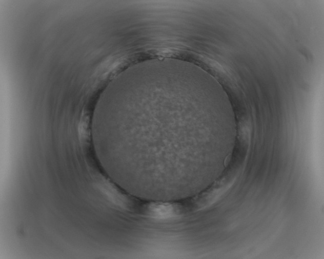 X0000115490181200911061314
