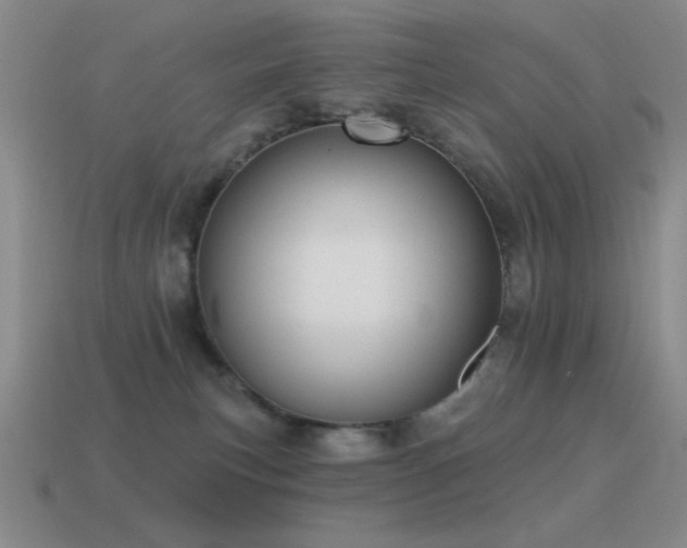 X0000115490183200911061314