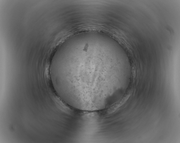 X0000115490185200911061314