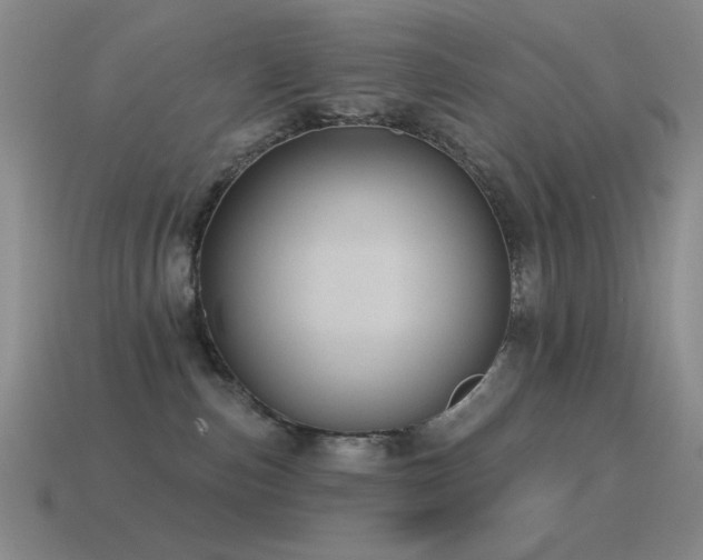 X0000115490187200911061314